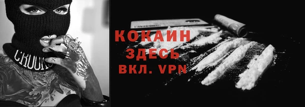 сатива Снежногорск