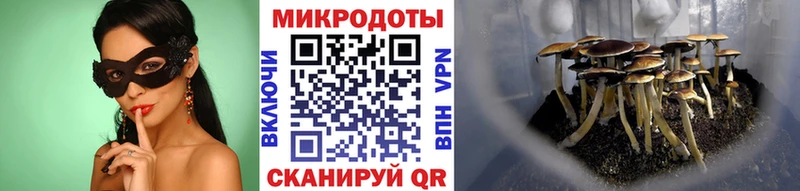 Галлюциногенные грибы прущие грибы  наркота  Североуральск 